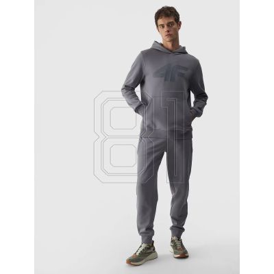 2. Jogginghose 4F M 4FWMM00TTROM0943-25S