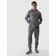 2. Jogginghose 4F M 4FWMM00TTROM0943-25S
