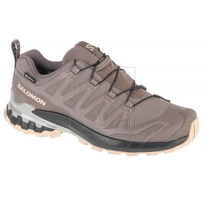 Salomon XA Pro 3D v9 GTX W L47744500 Laufschuhe