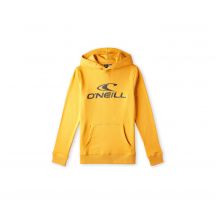 O&#39;Neill Logo Hoodie Jr 92800615006