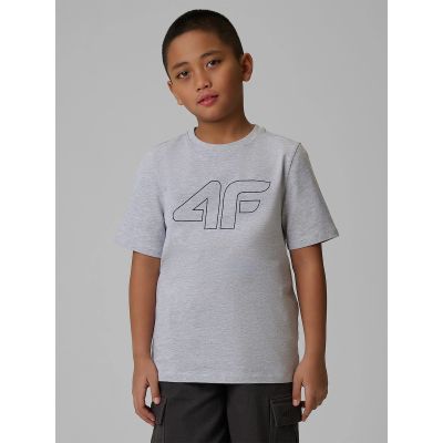 Normales bedrucktes Jungen-T-Shirt 4F 4FJRSS26TTSHM3599-10S