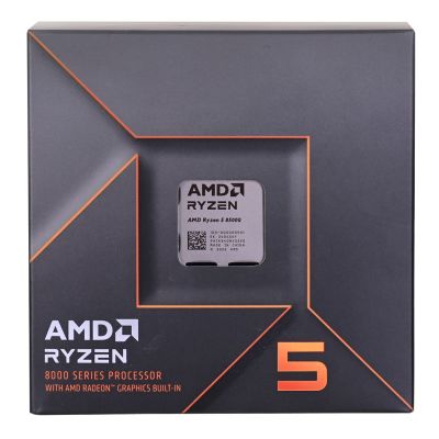 2. AMD Ryzen 5 8500G Prozessor