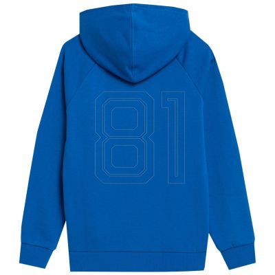 4. 4F Jr Sweatshirt 4FJSS23TSWSM220 36S