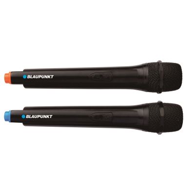 9. PartyBox Blaupunkt PB06DB (Bluetooth und Karaoke)