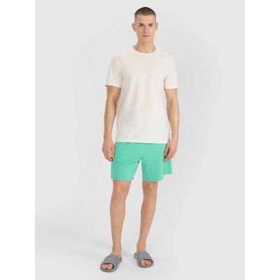 4. Herren T-Shirt mit Aufdruck 4F 4FRSS25TTSHM2687-11S