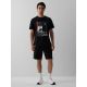5. Herren-T-Shirt mit Aufdruck, regulär, Größe 4F 4FRAW26TTSHM4447-20S