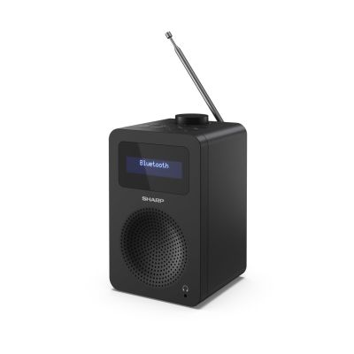 2. Sharp DR-430 Digitalkamera, Schwarz