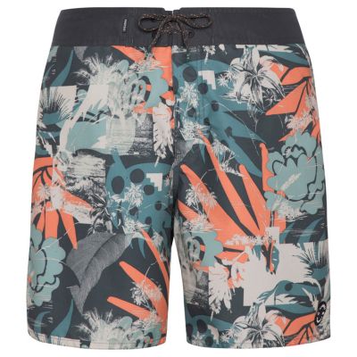 2. Protest PRTARYF Strandshorts (P2710621/672)