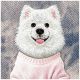 6. Nimmy Gentle Pets Serie Hunde MagSafe Hülle für iPhone 17 Pro - pink