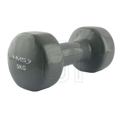 17. Vinylbeschichtetes Gusseisengewicht HMS 5,0 KG 17023 