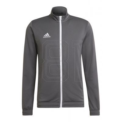 Adidas Entrada 22 Track M H57522 Sweatshirt