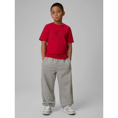 4. Normales bedrucktes Jungen-T-Shirt 4F 4FJRSS26TTSHM3599-10S