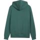 3. Herren-Hoodie Puma ESS 2 Color Small No.1 Logo grün 684718 90