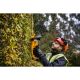 6. Dewalt DCMHT563N-XJ Akku-Schere