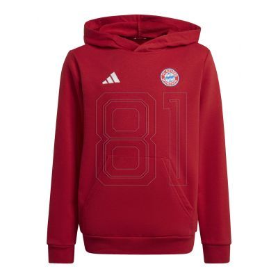 Adidas Bayern Munich Jr IT4134 sweatshirt