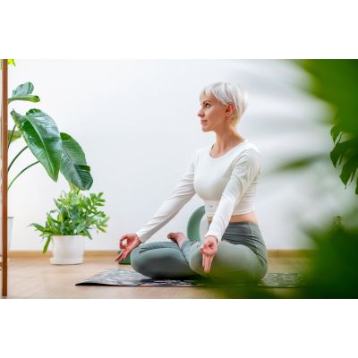 11. Damen Langarm-T-Shirt FIJI W