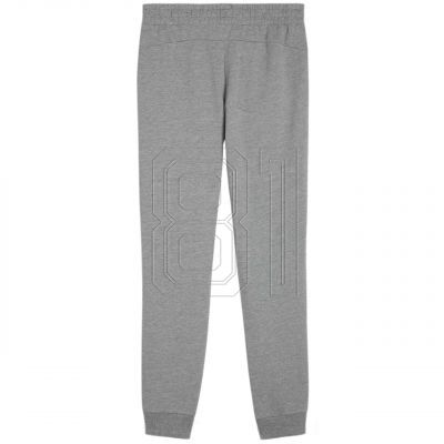 2. Puma Team Goal Casuals Hose W 658604 33