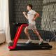 3. Reebok FR30z Floatride RVFR-10421RDZ Elektrisches Laufband