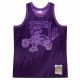 Mitchell & Ness Jersey Swingman Monochrome Hyper Hoops NBA Toronto Raptors Vince Carter - TFSM1280-TRA98VCAPURP