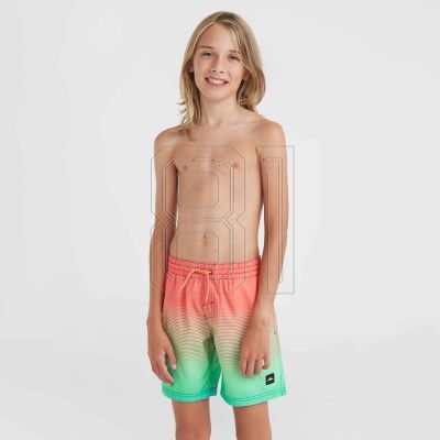 3. O&#39;Neill Jack Cali Gradient 14&#39;&#39; Swim Shorts Jr 92800613570