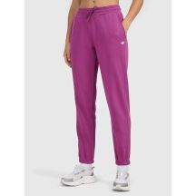 Damen-Jogginghose 4F 4F 4FWAW26TTROF1754-54S