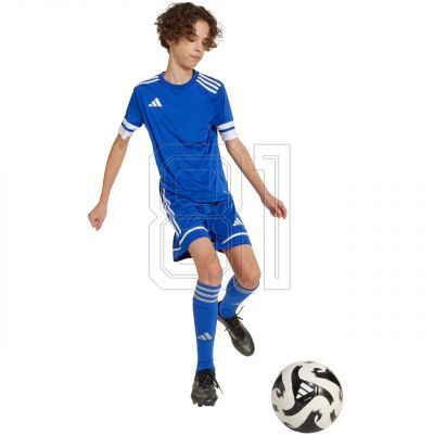 4. adidas Squadra 25 Jr JN5455 Shorts