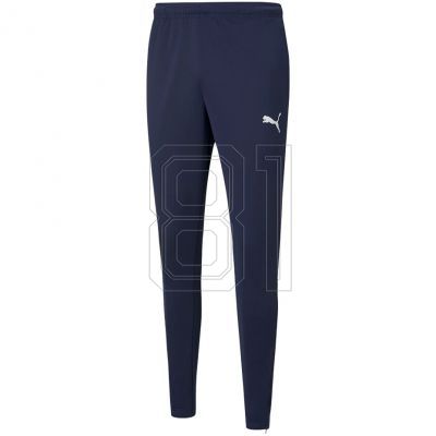Puma teamRISE Poly Trainingshose M 657390 06