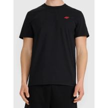 Normales Herren-T-Shirt 4F 4FWMM00TTSHM3341-020S