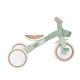 12. Dreirad/Laufrad LEARNING TRIKE 3in1 PLUS ECOLOGIC (738-109)