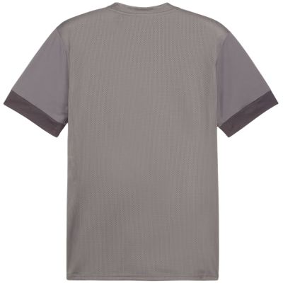 4. Puma teamGoal Spieltagstrikot M 705747 13