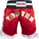 TOP TEN Kick Light Shorts (WAKO-GENEHMIGT)