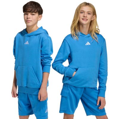 adidas Essentials Hoodie für Kinder blau KD3382