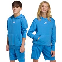 adidas Essentials Hoodie für Kinder blau KD3382