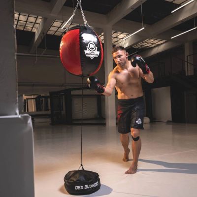 4. 30 kg - SK30 Boxbirne - Schwarz - Rot