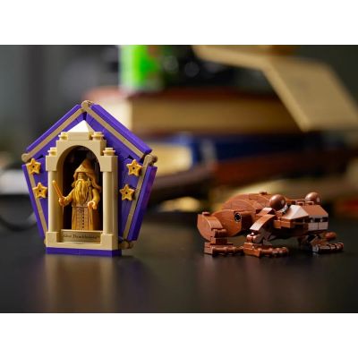 18. LEGO Harry Potter 76391 Ikonen von Hogwarts – Sammleredition