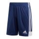adidas Tastigo 19 M DP3245 Shorts