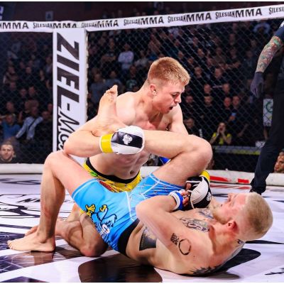 15. MMA-Sparringhandschuhe S/M - Edge - Valor Series