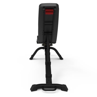 5. Bowflex 3.1S 100917 Trainingsbank
