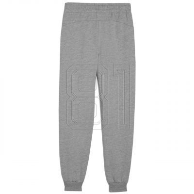 4. Puma Team Goal Jr Hose 658601 06