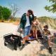 14. Wozinsky WZP-80 Strand-, Touristen- und Gartenwagen, robust, breite Räder, bis 80 kg - schwarz