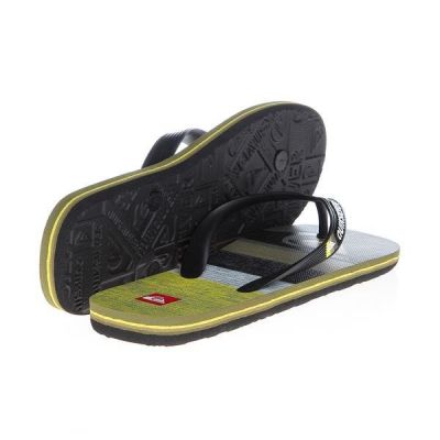 2. Quiksilver Molok EQYL100032-XGKG