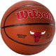 4. Wilson Team Alliance Chicago Bulls Ball WTB3100XBCHI