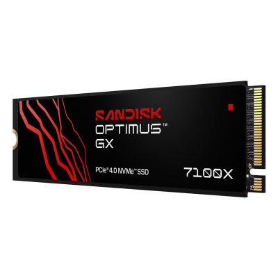 2. SSD SanDisk Optimus GX7100X 1 TB SDSG71200TAN