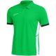 3. Nike Dri-Fit Academy 25 SS Poloshirt M FZ9759 329