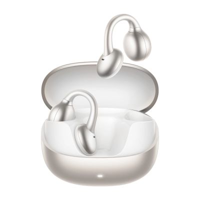 Joyroom Openfree JR-OE3 TWS In-Ear-Kopfhörer – Silber