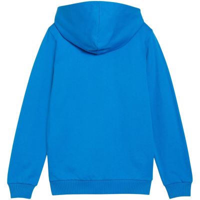 3. Puma teamGoal Casuals Kapuzenpullover Jr 658596 02