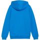 3. Puma teamGoal Casuals Kapuzenpullover Jr 658596 02