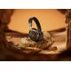 10. Bose 890101-0400 Kopfhörer/Headset Kabelloses Kopfbügel-Headset Anrufe/Musik Bluetooth Schwarz, Gold