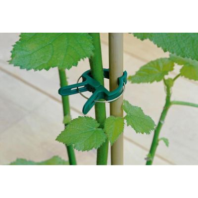 19. KINZO Pflanzenclips, 20 Stück