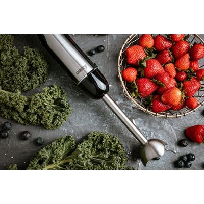 CAMRY CR 4615 Stabmixer